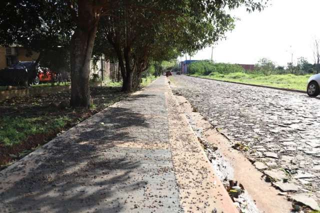 Avanza el Programa Veredas inclusivas en Virasoro